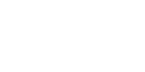 bara logo.png